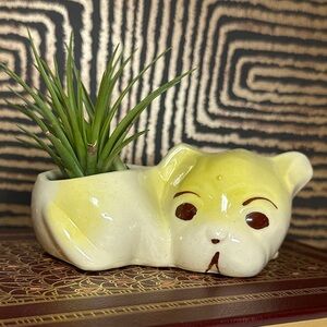 Yellow and Cream Dog Planter